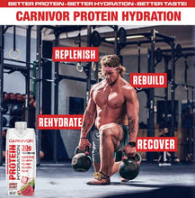 CARNIVOR PROTEIN HYDRATION RTD - 30 grams of protein + Electrolytes